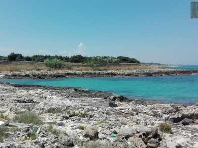 Ci troviamo davanti a una seconda insenatura simile alla prima ma molto pi� sporca
